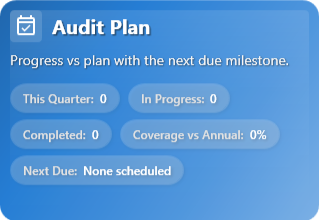 Audit Plan